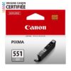 CANON Cartouche d'encre CLI-551GY Gris