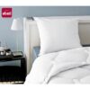 ABEIL Lot de 2 Oreillers Anti-Acarien - 60 x 60 cm - Blanc – Image 2
