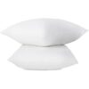 ABEIL Lot de 2 Oreillers FluffyDream 60 x 60 cm