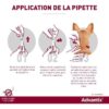ADVANTIX Chien Solution Antiparasitaire Tres Grande Race 40 a 60kg 6 pipettes – Image 3