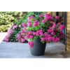EDA Pot de fleur rond Toscane - Ø 60 x H 47 cm - 76 L - Gris anthracite – Image 2