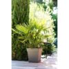 EDA Pot carré Toscane - 50 cm - 87 L - Taupe – Image 3
