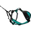 Harnais pour chien - SYMBIOZ - XS - Noir / Bleu – Image 2