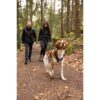Harnais pour chien - SYMBIOZ - XS - Noir / Bleu – Image 3