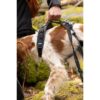 Harnais pour chien - SYMBIOZ - XS - Noir / Bleu – Image 4