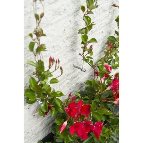 Treillis métallique - NATURE - Kit de palissage pour plantes grimpantes - fil de fer galvanisé Ø1
