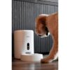 Mangeoire intelligent avec caméra - CALEX - SMART PETFEEDER - Blanc – Image 4