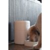 Mangeoire intelligent avec caméra - CALEX - SMART PETFEEDER - Blanc – Image 6