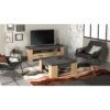 Meuble TV AUSTIN - Taille écran max 55' (140 cm) - Décor chene Hamilton et Sidewalk - L 140 x P 42 x H 47 cm - DEMEYERE – Image 2