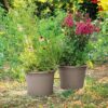 DEROMA Pot de fleurs rond Day R camel - Coloris taupe - 60cm – Image 2