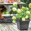 DEROMA Pot de fleurs carré Day R anthracite - Coloris gris anthracite - 38cm – Image 2