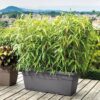 DEROMA Bac a fleurs muret Day R anthracite - Coloris gris anthracite - 80cm – Image 2