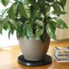 DEROMA - roll pot r support a roulettes pour pot de fleurs - 39cm – Image 3