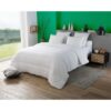 DODO Couette tempérée 300gr/m² anti-acarians VICTORIA 220x240 cm blanc – Image 3