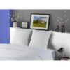 DODO Lot de 2 Oreillers MERIBEL Plumettes 60x60cm – Image 3