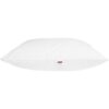 DODO Lot de 2 Oreillers MERIBEL Plumettes 60x60cm – Image 5