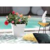Pot de fleur EDA Plastique Carré TOSCANE Blanc 39 x 39 x H 39 cm 38 L – Image 2