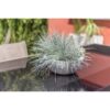 Pot de fleur EDA Plastique Rond Graphit Up Blanc cérusé Ø 40 cm 14,9 L – Image 3