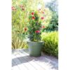 EDA PLASTIQUE - Pot de fleur rond Toscane - Ø 60 x H47 cm - 76 L - Vert laurier – Image 2