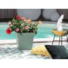 Pot de fleur carré Toscane - EDA PLASTIQUE - 32 x 32 x H 32 cm - 22 L - Vert laurier – Image 4
