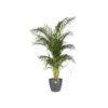 Pot de fleurs Brussels Rond 30 anthracite – Image 2