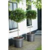Elho Bac a fleurs Green Basics Cilinder 55 - Noir - Ø 54 x H 41 cm - extérieur - 100% recyclé – Image 6