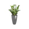 Elho Pure Soft Round High Ø 29.5 x H 52.5 cm anthracite – Image 2