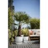 ELHO Greenville Pot de fleurs rondØ 47 x H 44 cm - extérieur - 100 47 - Gris - % recyclé – Image 6