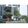 Elho Vibia Campana Bac a fleurs Terrasse 80 - Gris - L 77 x B 35 x H 33 cm - extérieur - 100% recyclé – Image 5