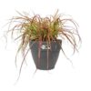 Elho Vibia Campana Bac a fleurs Rond 55 - Noir - Ø 55 x H 47 cm - extérieur - 100% recyclé – Image 2