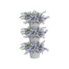 Corsica Foret Vertical 24 Set/3 blanc – Image 3