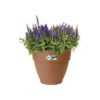 Elho Vibia Campana Bac a fleurs Rond 55 - Marron - Ø 55 x H 47 cm - extérieur - 100% recyclé – Image 2