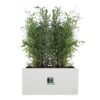Elho Vivo Next Long 80 Bac a fleurs - Blanc - L 78 x B 39 x H 38 cm - intérieurextérieur - 100% recyclé – Image 3