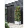 Elho Vivo Next Long 80 Bac a fleurs - Blanc - L 78 x B 39 x H 38 cm - intérieurextérieur - 100% recyclé – Image 4