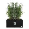 Elho Vivo Next Long 80 Bac a fleurs - Noir - L 78 x B 39 x H 38 cm - intérieurextérieur - 100% recyclé – Image 3