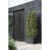 Elho Vivo Next Long 80 Bac a fleurs - Noir - L 78 x B 39 x H 38 cm - intérieurextérieur - 100% recyclé – Image 4