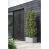 Elho Vivo Next Long 80 Bac a fleurs - Gris - L 78 x B 39 x H 38 cm - intérieurextérieur - 100% recyclé – Image 4