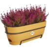 Planteur Rectangle VIBIA - Plastique - Réservoir - Ø50 - Jaune Miel – Image 2