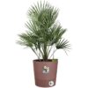 Pot De Fleurs Rond GREENSENSE AQUA CARE - Plastique Réservoir - Avec roulettes - Ø35 - Brun Argile – Image 3