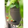 ELHO Green Basics Pot a Fraises 33 - Noir - Ø 33 x H 42 cm - culture et récolteextérieur - 100% recyclé – Image 3