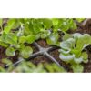 6 mm - GARDENA - 13214-26 - Connexion Easy & Flexible - Boite de 20 pieces