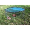 Kerbl Enclos d'extérieur pour animaux de compagnie Octogonal – Image 2
