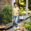 Pot de fleur LECHUZA Trio Cottage 30 - kit complet brun sable – Image 5