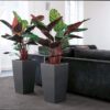 Pot de fleur - LEC - Cubico Premium 40 - Rouge - Avec réserve d'eau - Kit complet – Image 5