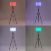 Lampadaire sans fil - LUMISKY - TAMBOURY - H150 cm - LED multicolore dimmable – Image 2
