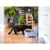 PetSafe -Drinkwell Fontaine a eau pour Chats et Chiens 3,7L - Filtres anti-odeurs inclus  Facile a Nettoyer - Silencieux – Image 3