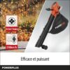 sans Batterie ni Chargeur