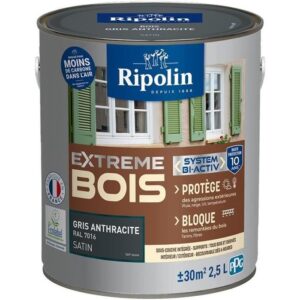 RIPOLIN PROTECTION EXTREME BOIS GRIS ANTHRACITE RAL70 Satin 2
