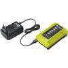 RYOBI - Chargeur 36V MAXPOWER standard 1,7 A  - RY36C17A – Image 3