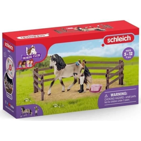 Kit de soin pour chevaux andaloux